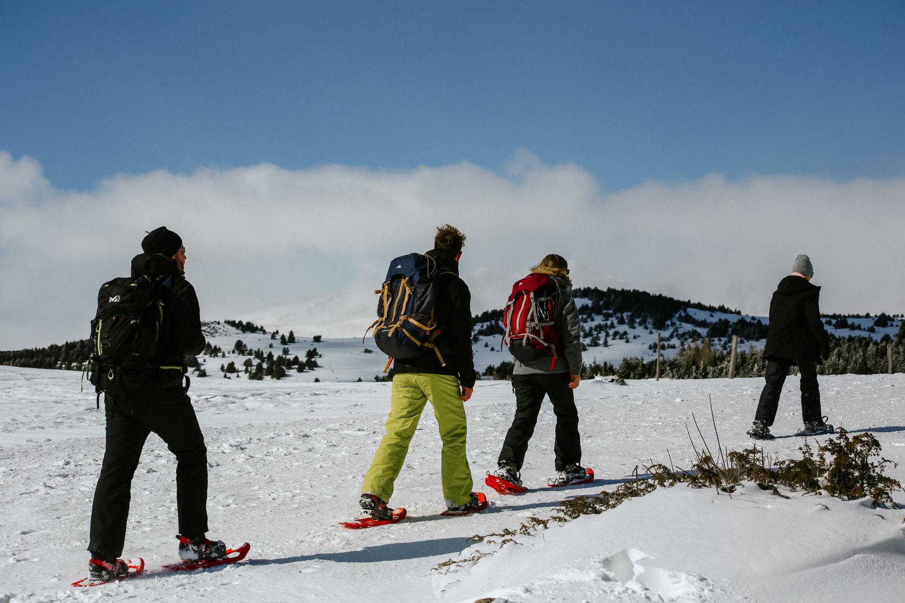 Musher Race 2020 à Font-Romeu-Pyrénées 2000